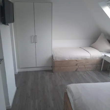 Asche Μούνστερ