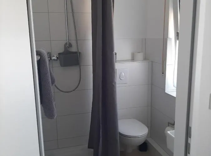 Asche Munster (North Rhine-Westphalia)